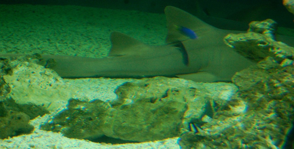 [aquariumaugust66.jpg]