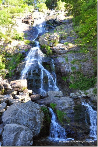 14-Todtnau. Catarata Wasserfall - DSC_0304