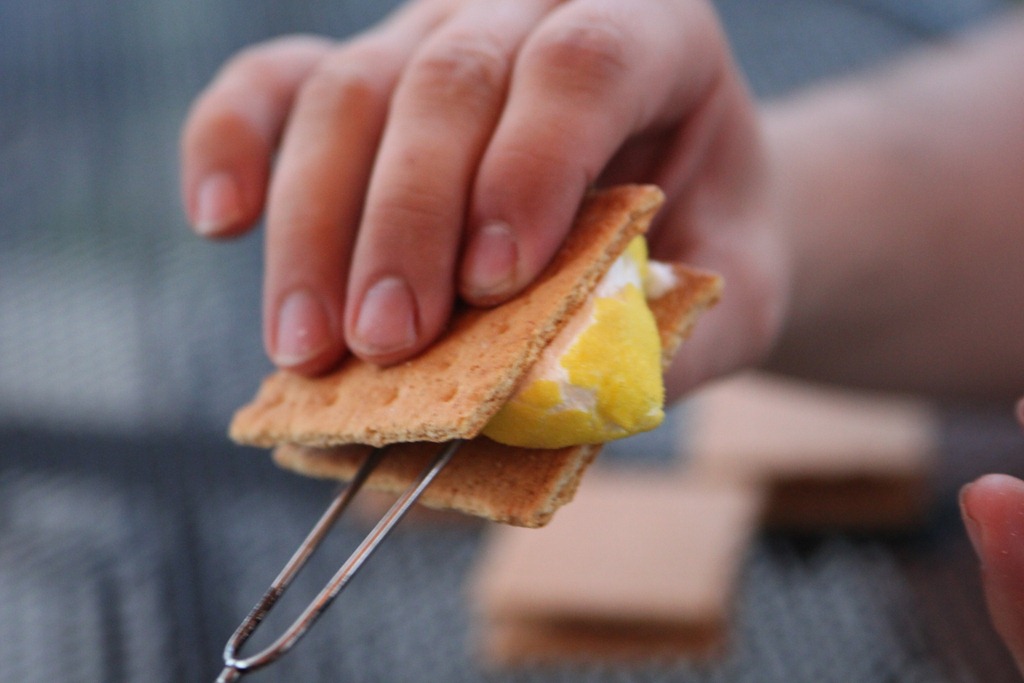 [IMG_4737%255B3%255D.jpg&description=S’More Peeps')]