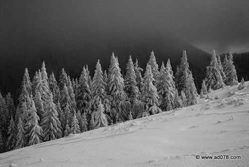 DSC_2105.jpg