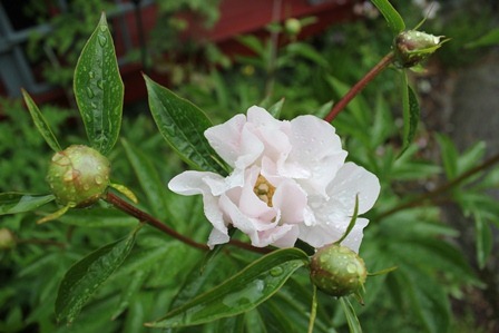 [juni%25202012%2520010%2520-%2520web%255B4%255D.jpg]