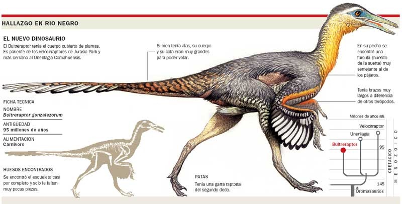 [dinosaurios%2520patagonia3%255B8%255D.jpg]