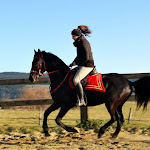 DSC_0112.JPG