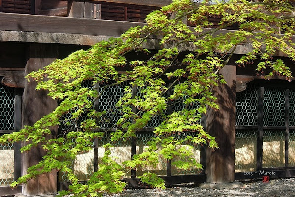 京都真如堂
