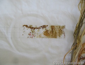 IMG_0807 IMG_0807