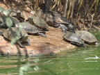 p1270711082(5).jpg