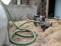 feed cows 020 feed cows 020