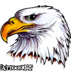 eagle-head-04-cabe%25C3%25A7a.jpg