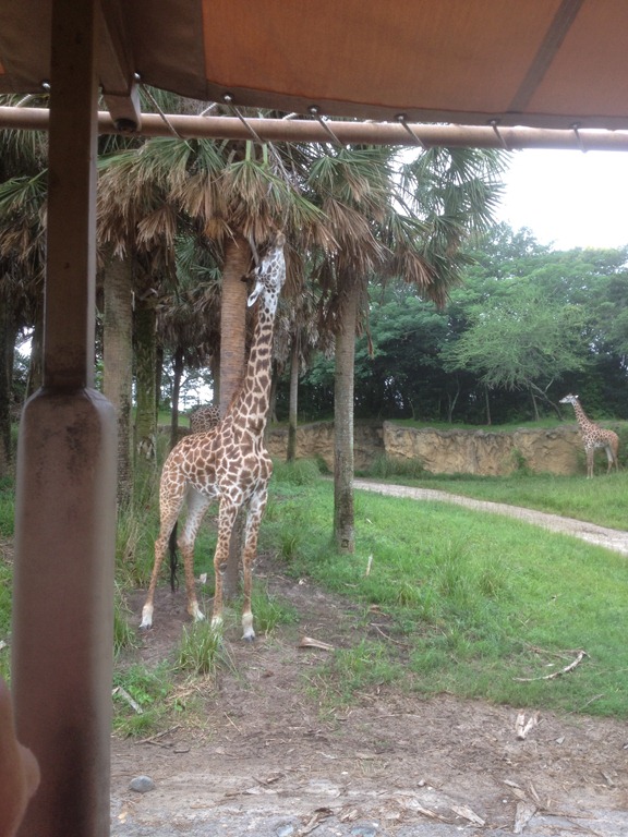 [IMG_0479%255B4%255D.jpg]