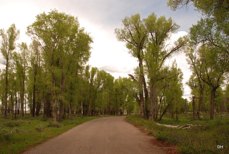 [06-06-13-B-Tetons-Gros-Ventre-CG-464.jpg]