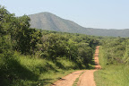 Road to Murchison Falls National Park