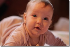 IMG_8010 IMG_8010