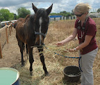 Thankfully Phoenix still showed interest in food and was as kind and sweet as could be.