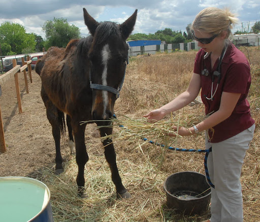 Thankfully Phoenix still showed interest in food and was as kind and sweet as could be.
