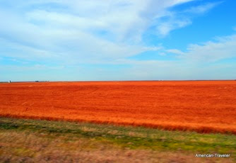 DSC_0478 DSC_0478