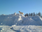 2010-02-14 15.10.04.jpg