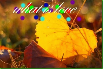autumn-cute-fall-heart-leaf-Favim.com-326014