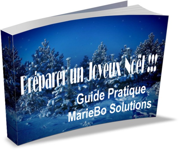 [preparer-joyeux-noel%255B3%255D.jpg]