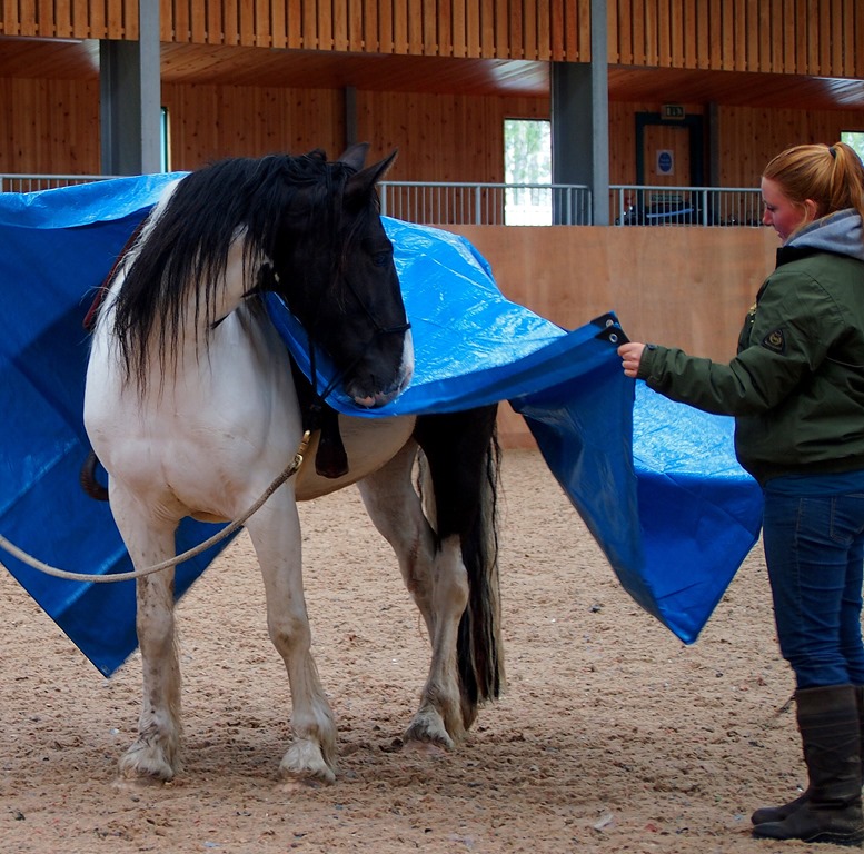 [5%2520June%25202%255B3%255D.jpg]