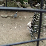 P1090698.JPG