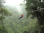 Canopy en la selva