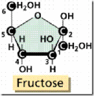 Model of Fructose Model of Fructose