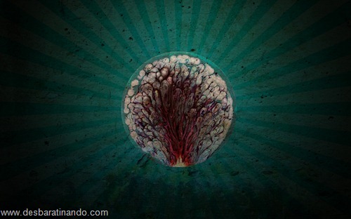 surreal wallpapers desbaratinando papel de parede surreal (11) surreal wallpapers desbaratinando papel de parede surreal (11)