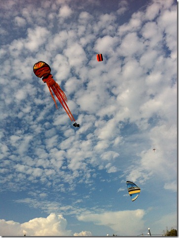 IMG_2007 IMG_2007