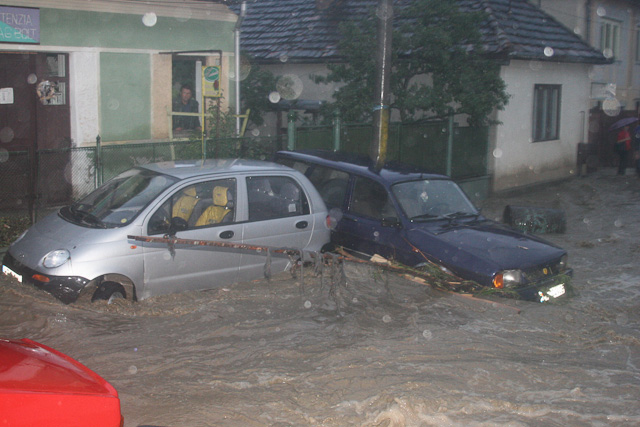 arviz2005_13.jpg