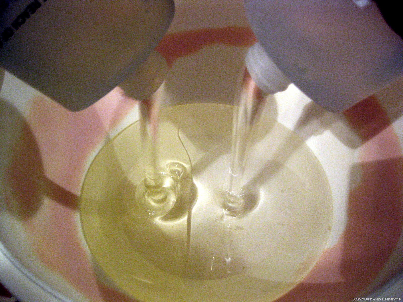 [IMG_6706%255B2%255D.jpg]