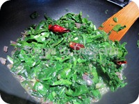 IMG_4417 IMG_4417