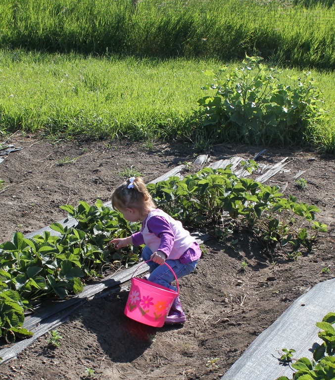 [IMG_6201%255B2%255D.jpg]
