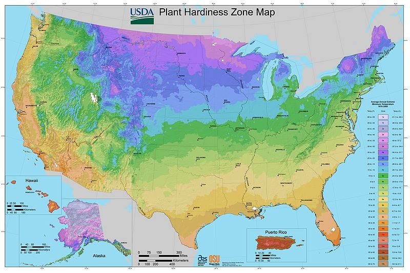 [800px-2012_USDA_Plant_Hardiness_Zone_Map_%2528USA%2529%255B3%255D.jpg]