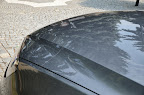 DSC_4337.JPG