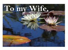 s_Cards,_etc._Recovery_&_Anniversary_Cards_To_my_Wife,_968 s_Cards,_etc._Recovery_&_Anniversary_Cards_To_my_Wife,_968