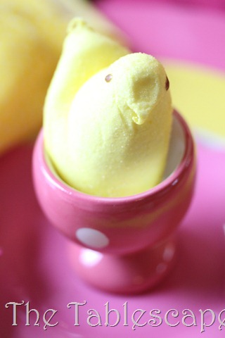 [Raspberry%2520Sunshine%2520085%255B7%255D.jpg]