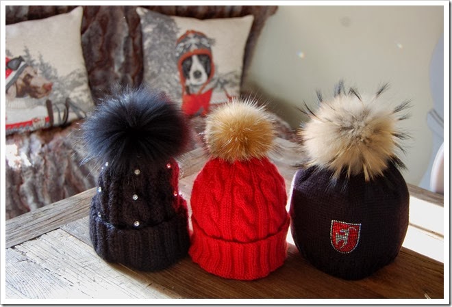 ALPINE BEANIES1