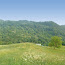 panorama_1.jpg