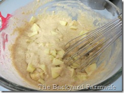 baked apple cinnamon pancake - The Backyard Farmwife