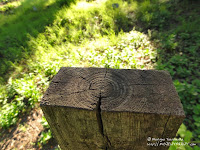 Cmentarz przy ul. Samotnej w Poznaniu