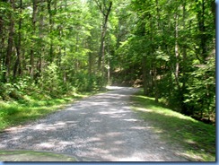 0187 Great Smoky Mountain National Park  - Tennessee - Rich Mountain Road