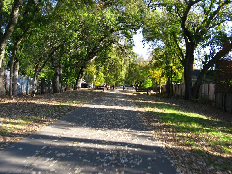 Iron Horse Trail 118.JPG Photo