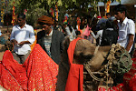 Shilpgram, India 075.JPG