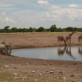 Tsumeb - Etosha - Spot Chudop (12).JPG