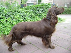 Bizou wat een knapperd