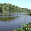 dsc05235.jpg
