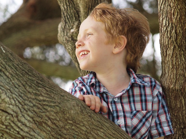 [at%2520the%2520top%2520of%2520the%2520tree%255B3%255D.jpg]