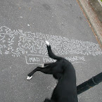 DSCN7576.JPG