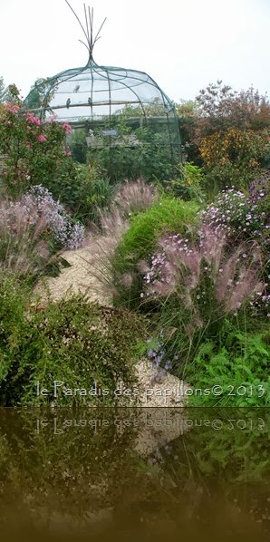 IMG_3720 IMG_3720