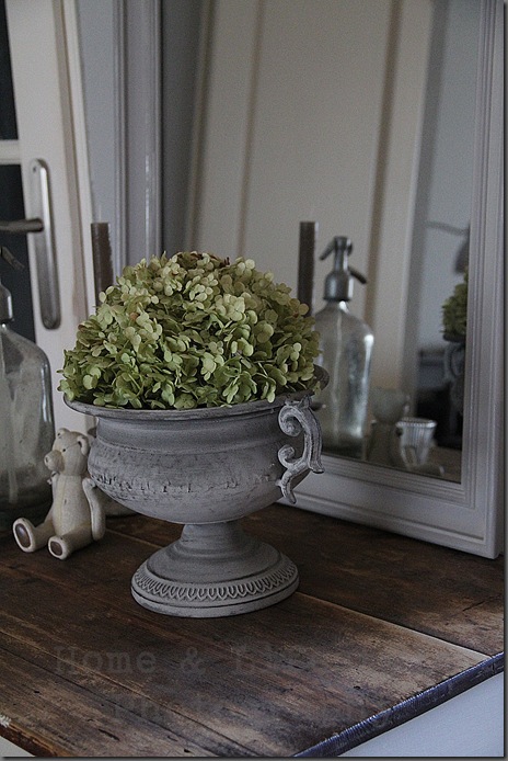 Home & Lifestyle Home & Lifestyle